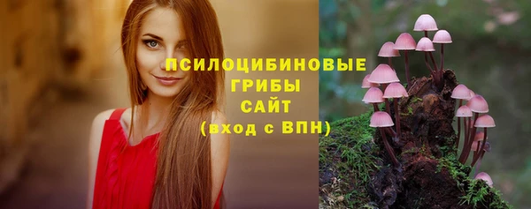 гашик Белоозёрский