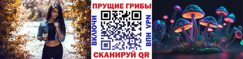 Галлюциногенные грибы Psilocybe  Бугульма 