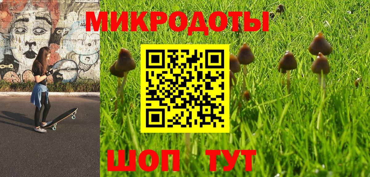закладки  Бугульма  Псилоцибиновые грибы Psilocybe  Псилоцибиновые грибы ЛСД 