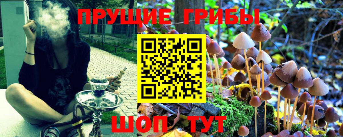 Бугульма  Галлюциногенные грибы Cubensis  Галлюциногенные грибы Magic Shrooms  Вход с VPN 