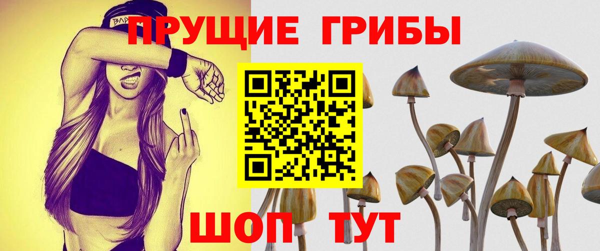Псилоцибиновые грибы MAGIC MUSHROOMS Бугульма